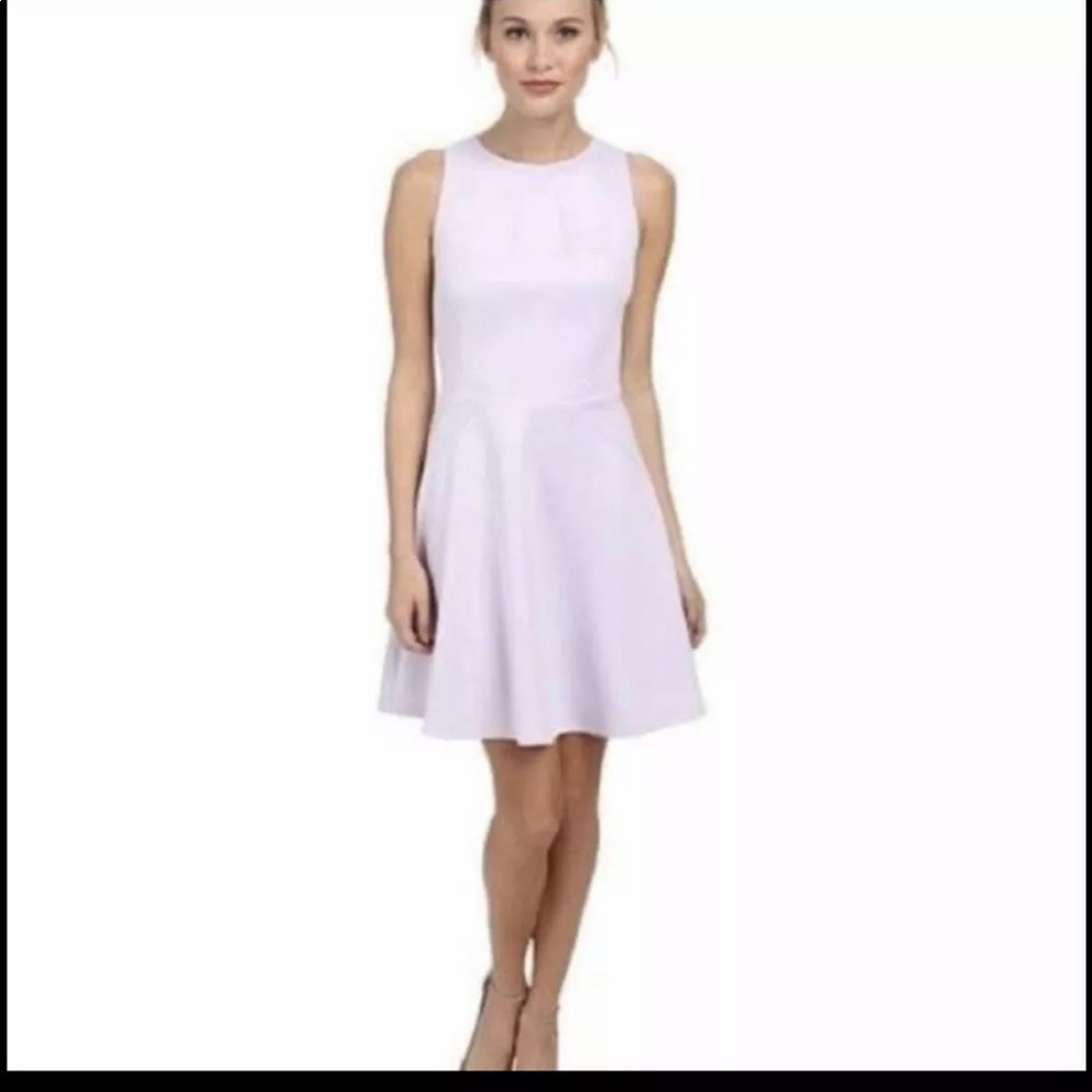 Ted Baker skater dress size 4